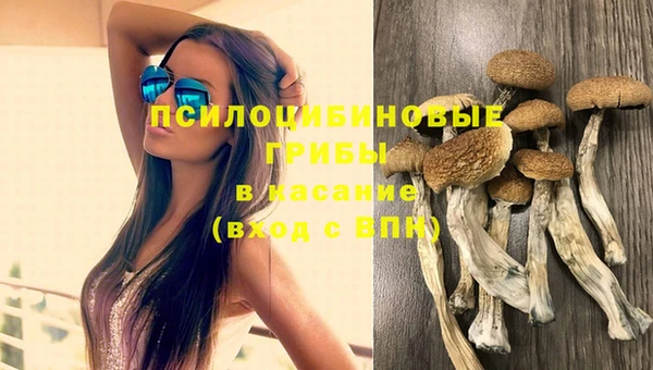 каннабис Абинск