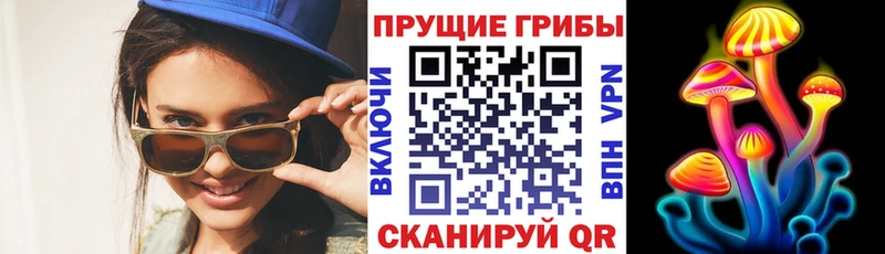 Галлюциногенные грибы ЛСД  сайты даркнета официальный сайт  Назрань  наркотики 